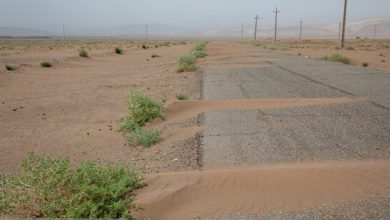 سه عامل موثر بر بیابانی شدن اراضی کشور
