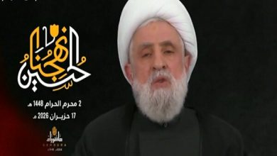 شیخ نعیم قاسم: از ایران تشکر می کنیم؛ موازنه قوا تغییر خواهد کرد