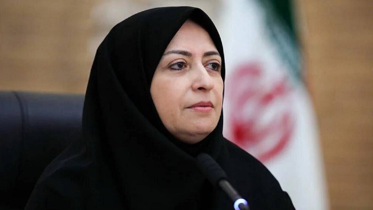 انصاری: حفظ محیط‌زیست ضرورتی راهبردی برای صیانت از منافع ملی است