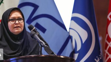 فرزانه انصاری
