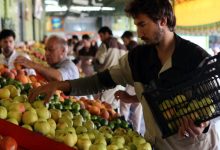 قیمت میوه