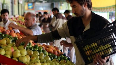 قیمت میوه