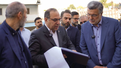 محمدرضا ظفرقندی