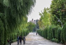 هشدار سطح نارنجی هواشناسی؛ وزش باد شدید در تهران