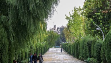 هشدار سطح نارنجی هواشناسی؛ وزش باد شدید در تهران