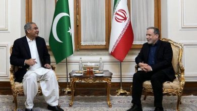 دیدار وزیر کشور پاکستان با عراقچی