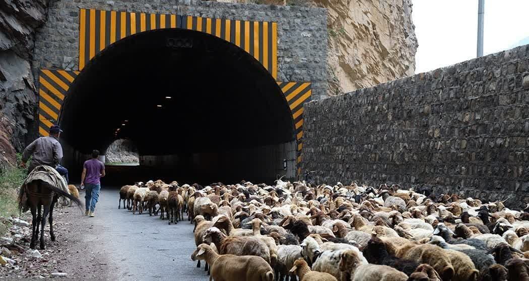 جاده کندوان بهمنظور تسهیل در کوچ عشایر بسته شد