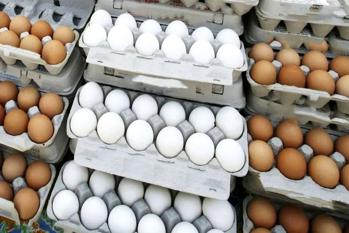 شوک به بازار تخم‌مرغ؛ قیمت هر شانه در تهران ۴۵۰ هزار تومان شد