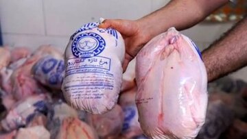 مجوز صادرات مرغ از امروز صادر شد