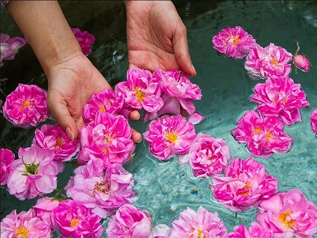 نوشیدنی که به آرامش و سلامت بدن کمک کند