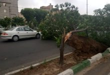 آماده‌باش نارنجی