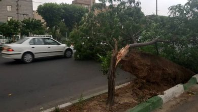 آماده‌باش نارنجی