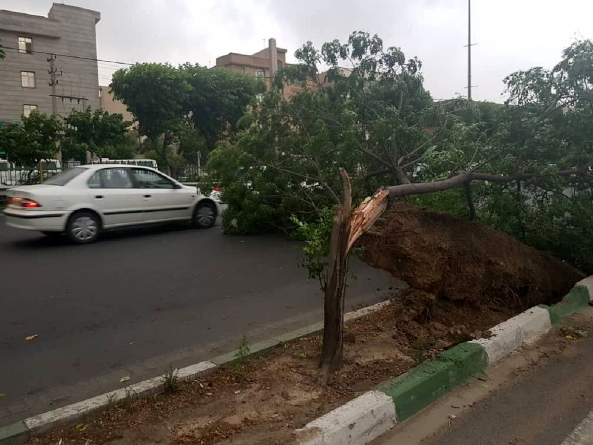 آماده‌باش نارنجی