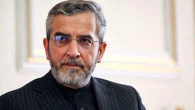 باقری کنی: صیانت از استقلال و هویت ملی از مهمترین جلوه‌های اساسی رویکرد رهبری شهید است