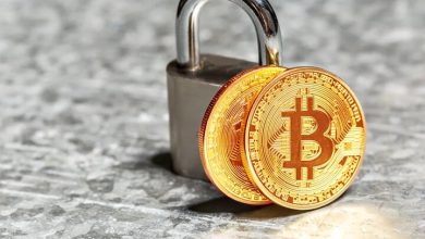 بزرگ‌ترین بازار پذیرش رمزارز جهان در آستانه محدودیت‌های جدید است