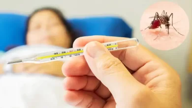هشدار نسبت به احتمال گردش ویروس تب دنگی در بوشهر