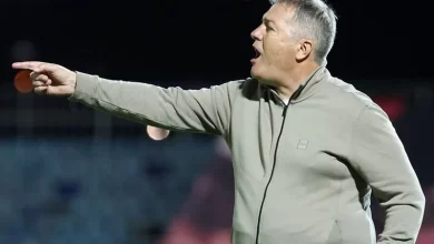 دراگان اسکوچیچ