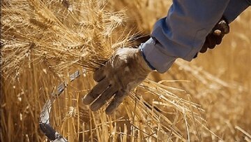 دولت زمان پرداخت مطالبات را اعلام کرد