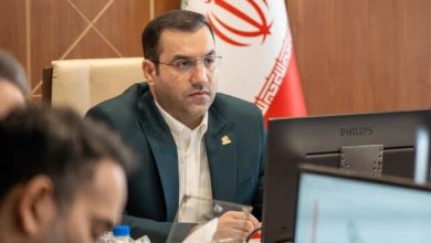 راه اندازی ۵۰ فروشگاه آنلاین برای عرضه محصولات مهارت‌آموزان