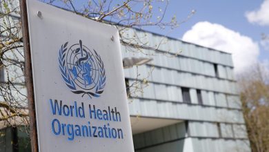سازمان جهانی بهداشت پایان شیوع هانتاویروس را اعلام کرد