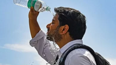 سازمان هواشناسی