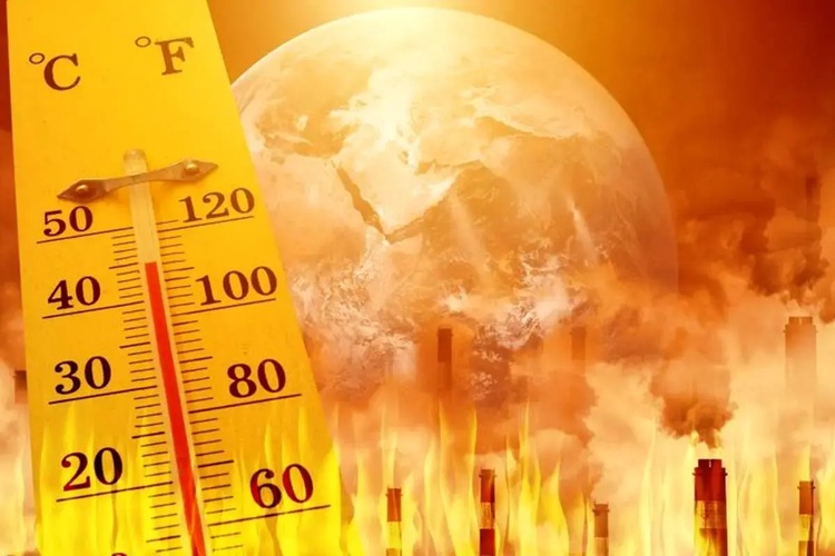 سازمان هواشناسی