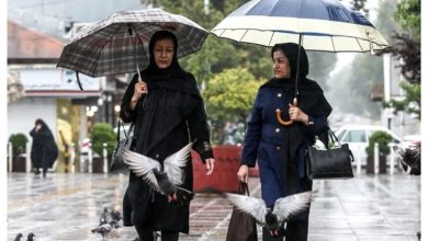 سازمان هواشناسی