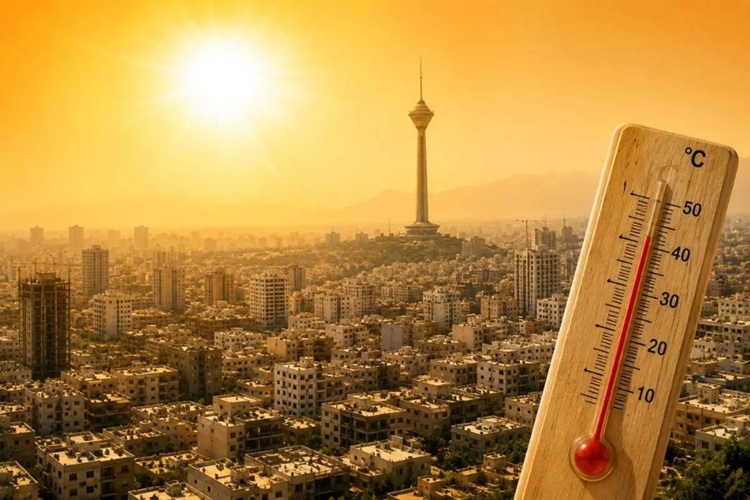 سازمان هواشناسی