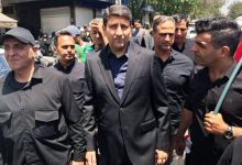 ستار هاشمی