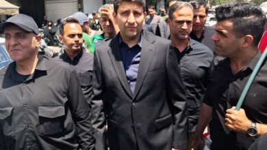 ستار هاشمی