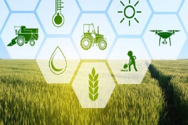 صندوق بیمه کشاورزی