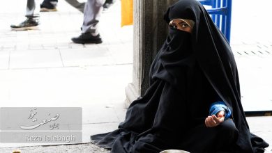 ضریب جینی