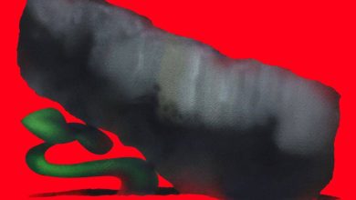 عصر بقا؛  چرا همه از تاب‌آوری می‌گویند