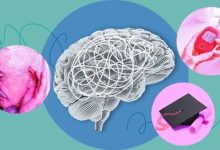 علم برای پیشگیری از زوال عقل چه پیشنهادی دارد؟
