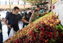 قیمت عمده میوه