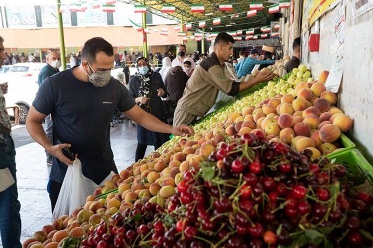قیمت عمده میوه