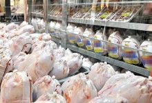قیمت مرغ