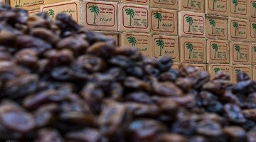 قیمت هر کیلو مضافتی به ۲۴۰ هزار تومان رسید