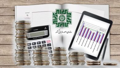 اقدامات اجرایی مالیاتی ناشی از اختلال بانکی تا ۳۰ تیر متوقف شد
