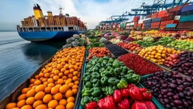 محصولات کشاورزی