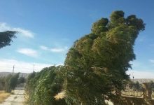 وزش باد