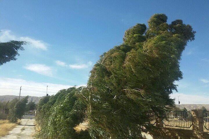 وزش باد