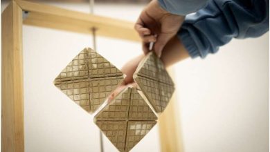 پوست فیل برای خنک‌سازی
