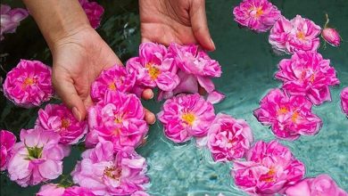 نوشیدنی که به آرامش و سلامت بدن کمک کند