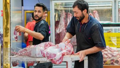 گوشت کیلویی چند؟ 