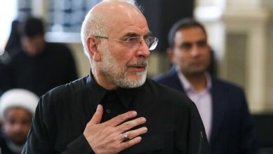 رئیس مجلس به کربلا رسید