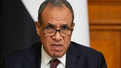 بدر عبدالعاطی