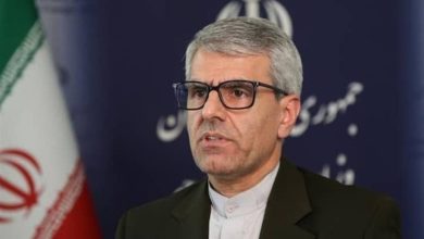بقائی: فعالیت مداخله‌جویانه دیپلمات‌های فرانسوی در ایران قابل پذیرش نیست