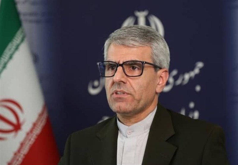 بقائی: فعالیت مداخله‌جویانه دیپلمات‌های فرانسوی در ایران قابل پذیرش نیست