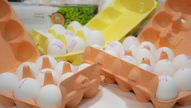 تخم‌مرغ ۶۰۰ هزار تومانی